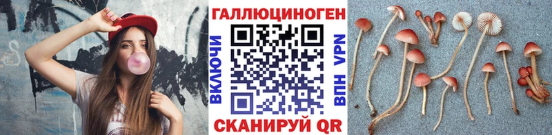 Псилоцибиновые грибы MAGIC MUSHROOMS  где купить наркотик  Мариинский Посад 